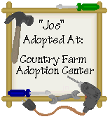 Adopted from Country Farm Adoption Center