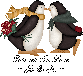 Penguin Couple