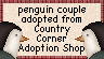 Adopted from Country Corner Adoption Shop