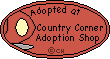 Adopted from Country Corner Adoption Shop